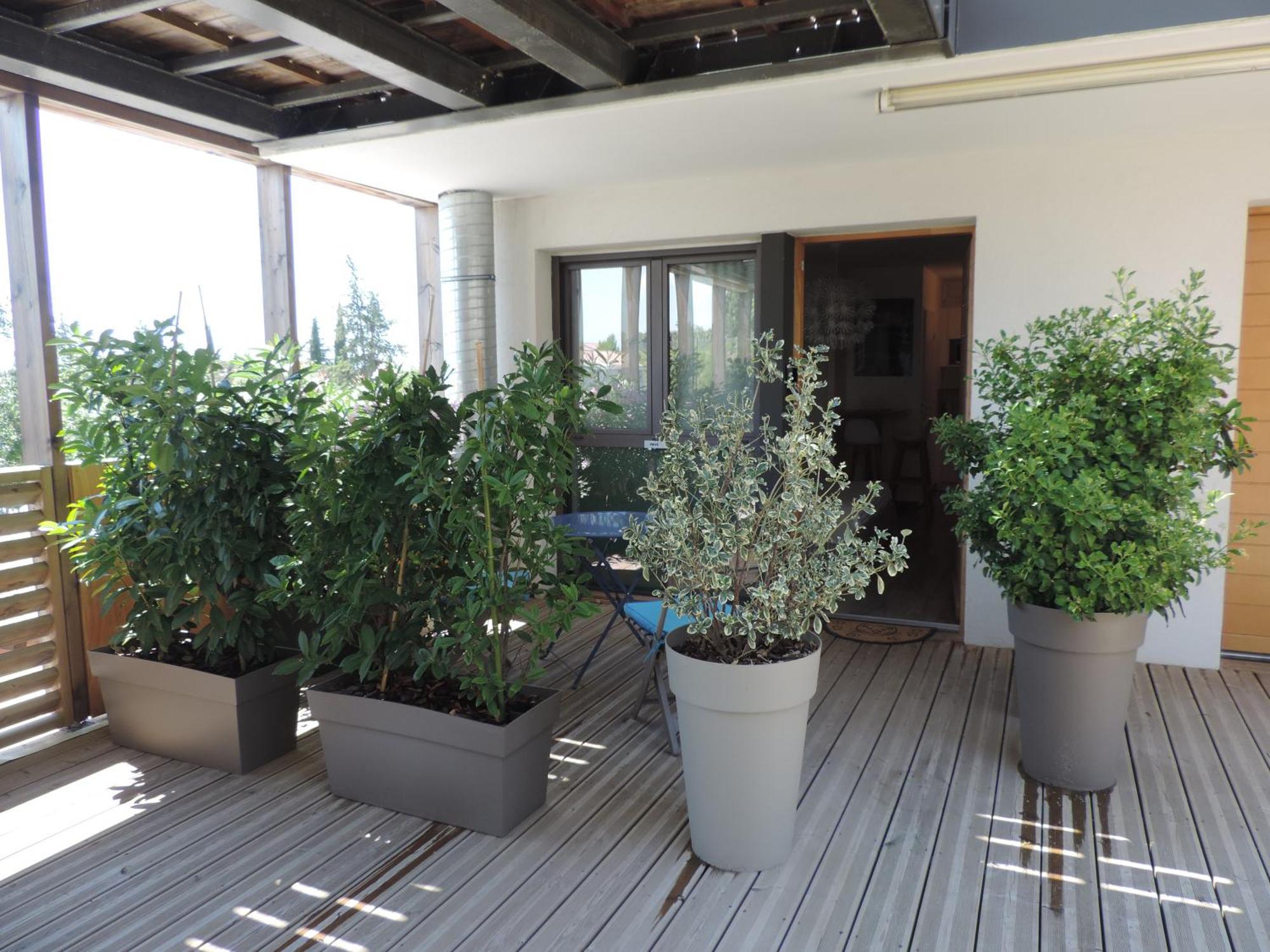 Studios Nuitee En Provence Aix-en-Provence Exteriér fotografie